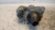 ALFA ROMEO MITO (2008) IMPIANTO ELETTRICO MOTORINO AVVIAMENTO USATO Da 2008 A 2011 [[239823]]
