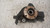 FIAT STILO SW (2002) ASSALE FUSELLO RUOTA ANT. SX. USATO Da 2005 A 2008 [[239658]]