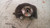 CHEVROLET AVEO «III» (2012) ASSALE FUSELLO RUOTA ANT. SX. USATO Da 2011 in poi [[234612]]