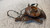 CHEVROLET KALOS (2005) ASSALE FUSELLO RUOTA ANT. SX. USATO Da 2005 A 2008 [[240065]]