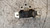 FIAT GRANDE PUNTO (2006) MOTORE SUPPORTO GOMMA MOTORE (LATO CAMBIO) USATO Da 2005 A 2010 [[240429]]