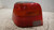 VOLKSWAGEN GOLF «IV» (1998) FANALERIA FANALE POST. SX. USATO Da 1997 A 2003 [[240411]]