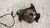 FIAT GRANDE PUNTO (2006) ASSALE FUSELLO RUOTA ANT. SX. USATO Da 2005 A 2010 [[240188]]
