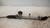 FIAT GRANDE PUNTO (2006) STERZO SCATOLA STERZO C/SERVOSTERZO USATO Da 2005 A 2010 [[240151]]