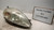 FIAT GRANDE PUNTO (2006) FANALERIA PROIETTORE ANT. DX. USATO Da 2005 A 2010 [[238611]]