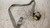 FIAT IDEA (2004) SICUREZZA CINTURA DI SICUREZZA SEDILE ANT. DX. USATO Da 2003 A 2008 [[239623]]