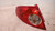 CHEVROLET LACETTI (2005) FANALERIA FANALE EST. POST. SX. USATO Da 2005 in poi [[228738]]
