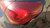 OPEL ASTRA «J» (2010) FANALERIA FANALE EST. POST. DX. USATO Da 2009 A 2012 [[223386]]