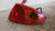 SEAT LEON «1P1» (2005) FANALERIA FANALE EST. POST. DX. USATO Da 2005 in poi [[216238]]