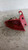 SEAT LEON «1P1» (2005) FANALERIA FANALE EST. POST. SX. USATO Da 2005 in poi [[216237]]