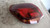 OPEL ASTRA «J» (2010) FANALERIA FANALE EST. POST. SX. USATO Da 2009 A 2012 [[215901]]