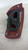 FIAT CROMA «II» (2005) FANALERIA FANALE EST. POST. DX. USATO [[212854]]
