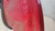 ALFA ROMEO 159 SPORTWAGON (2006) FANALERIA FANALE EST. POST. DX. USATO Da 2006 in poi [[212093]]