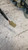 ROVER 25 (2000) CRISTALLI ALZACRISTALLO PORTA ANT. SX. USATO Da 1999 A 2004 [[238536]]
