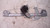 ALZACRISTALLO PORTA ANT. SX. USATO DAL 2005 AL 2012 CITROEN C1 «I» (2006) 118671 [[228889]]