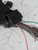 CITROEN C3 «II» (2010) CRISTALLI MECCANISMO TERGICRISTALLO USATO Da 2010 A 2013 [[216941]]