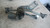 FIAT PUNTO EVO (2010) CRISTALLI MECCANISMO TERGICRISTALLO USATO Da 2009 A 2011 [[213795]]