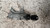 BLOCCASTERZO USATO DAL 1997 AL 2003 VOLKSWAGEN GOLF «IV» (1998) 4B0905851B [[239884]]
