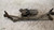 PEUGEOT 306 SW (1998) CRISTALLI MOTORINO TERGICRISTALLO USATO Da 1998 A 2002 [[239630]]