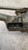 PEUGEOT 306 SW (1998) CRISTALLI MOTORINO TERGICRISTALLO USATO Da 1998 A 2002 [[239630]]