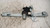 DACIA DUSTER «I» (2014) CRISTALLI ALZACRISTALLO PORTA ANT. SX. USATO Da 2017 A 2021 [[239168]]