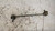 FIAT PANDA «III» (2012) ASSALE BIELLETTA STABILIZZATRICE ANT. DX. USATO Da 2012 in poi [[238509]]