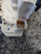 FIAT PANDA «III» (2012) LAMIERATI ESTERNI SERRATURA PORTA ANT. SX. USATO Da 2012 in poi [[223652]]