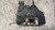 OPEL CORSA «D» (2011) LAMIERATI ESTERNI SERRATURA PORTA ANT. SX. USATO Da 2011 in poi [[239804]]