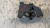 FIAT GRANDE PUNTO (2006) LAMIERATI ESTERNI SERRATURA PORTA ANT. SX. USATO Da 2005 A 2010 [[240296]]