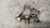 FIAT PANDA «III» (2012) MOTORE SUPPORTO GOMMA MOTORE DX. USATO Da 2012 in poi [[239299]]