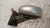 FIAT IDEA (2004) CRISTALLI RETROVISORE ESTERNO ANT. SX. USATO Da 2003 A 2008 [[239386]]