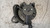 FIAT GRANDE PUNTO (2006) TERMICO MOTORINO VENTILAZIONE ABITACOLO USATO Da 2005 A 2010 [[240240]]