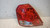 CHEVROLET KALOS (2005) FANALERIA FANALE POST. SX. USATO Da 2005 A 2008 [[240086]]