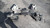 PEUGEOT 208 «I» (2015) ASSALE ASSALE ANT. USATO [[214864]]