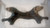 TOYOTA RAV 4 «II» (2000) ASSALE ASSALE ANT. USATO Da 2001 A 2005 [[227647]]