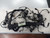 MERCEDES CLASSE C «S205» SW (2014) IMPIANTO ELETTRICO CABLAGGIO MOTORE USATO [[242333]]