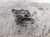 FIAT TIPO «II» (2016) MOTORE SUPPORTO GOMMA MOTORE DX. USATO Da 2015 A 2020 [[242581]]
