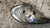 NISSAN ALMERA «II» (2000) FANALERIA FANALE FRECCIA FRONTALE ANT. SX. USATO [[240220]]