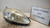 FIAT GRANDE PUNTO (2006) FANALERIA PROIETTORE ANT. DX. USATO Da 2005 A 2010 [[240332]]