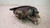 OPEL CORSA «B» (1993) FANALERIA PROIETTORE ANT. DX. USATO Da 1997 A 2000 [[231347]]