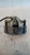 FIAT 500L (2013) IMPIANTO FRENANTE PINZA FRENO ANT. DX. USATO Da 2014 A 2017 [[211239]]