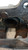 FIAT 500L (2013) IMPIANTO FRENANTE PINZA FRENO ANT. SX. USATO Da 2014 A 2017 [[211240]]
