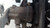 OPEL CORSA «D» (2007) IMPIANTO FRENANTE PINZA FRENO POST. DX. USATO Da 2006 A 2010 [[212061]]