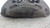 MERCEDES CLASSE C «S205» SW (2018) IMPIANTO FRENANTE PINZA FRENO ANT. SX. USATO Da 2018 in poi [[212473]]