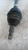 ALFA ROMEO 159 (2006) CAMBIO E TRASMISSIONE SEMIASSE ANT. SX. USATO Da 2005 in poi [[213728]]