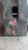 PINZA FRENO ANT. DX. USATO DAL 2015 AL 2018 JEEP CHEROKEE «V» (2014) K68212010AA [[214814]]