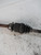 FIAT PANDA «II» (2004) CAMBIO E TRASMISSIONE SEMIASSE ANT. DX. USATO Da 2004 A 2009 [[216787]]
