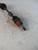 NISSAN NOTE «I» (2006) CAMBIO E TRASMISSIONE SEMIASSE ANT. SX. USATO Da 2006 in poi [[217261]]