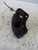 FIAT SCUDO «I» (1996) IMPIANTO FRENANTE PINZA FRENO ANT. SX. USATO Da 1998 A 2000 [[218633]]