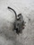 FIAT TIPO «II» (2016) IMPIANTO FRENANTE PINZA FRENO POST. DX. USATO Da 2015 A 2020 [[220045]]